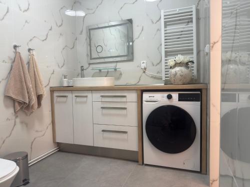 a bathroom with a sink and a washing machine at Apartmán Kathryn in Dubá