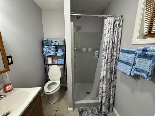 a bathroom with a shower with a toilet and a sink at Jefferson Carriage House Hideaway in Huntington