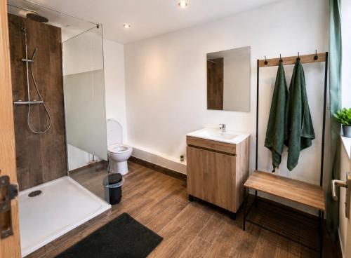 a bathroom with a shower and a toilet and a sink at Gîtes de la Renaissance in Merlieux-et-Fouquerolles