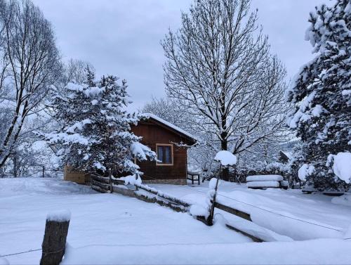 a cabin in a snow covered yard with trees at Cottage by the Ponds in Krasňany