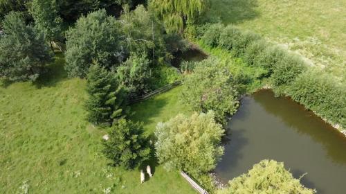 an aerial view of a river and trees at Cottage by the Ponds in Krasňany