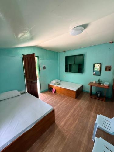 a room with two beds and a tv in it at Cebu - Victoria's Guest House in Badian
