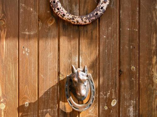 a horse head ornament on a wooden door at The Smiddy - S4278 in Lochearnhead