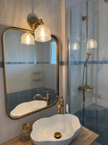 a bathroom with a sink and a mirror at Grand appartement dans une résidence à caen in Caen