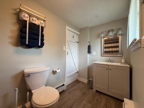 a bathroom with a toilet and a sink at Oakland Beach Cottage - Sleeps up to 4 in Warwick