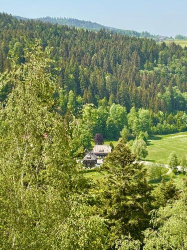 a house in the middle of a field with trees at Hollhouse - Bed & Breakfast in Hinterzarten