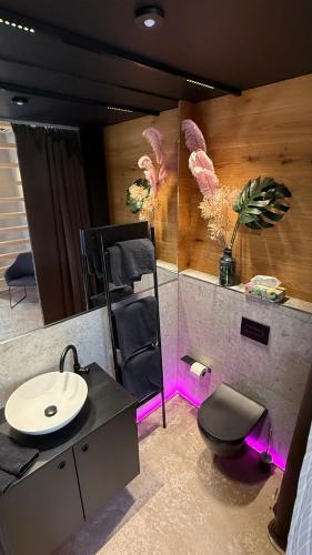 a bathroom with a sink and a toilet and a mirror at Gleisbett 12-3 in Meiningen
