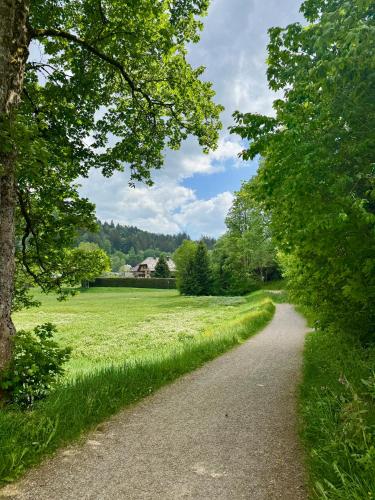 a path through a field with a house in the distance at Hollhouse - Bed & Breakfast in Hinterzarten