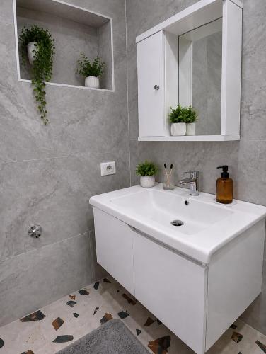 a bathroom with a white sink and a mirror at Villa Nathanael in Pogradec