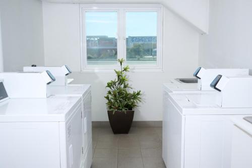 a white office with white desks and a potted plant at ibis Budget Perth Airport in Perth
