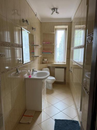 a bathroom with a toilet and a sink and a shower at Zakątek in Porąbka
