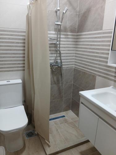 a bathroom with a shower and a toilet and a sink at Sofija apartments in Gevgelija