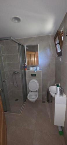 a bathroom with a shower and a toilet and a sink at Sunshine House Ada Bojana in Ulcinj
