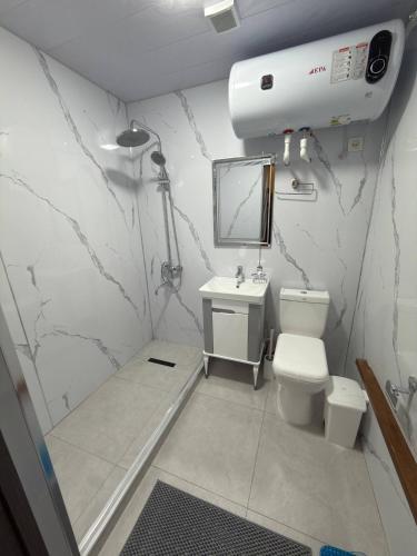 a bathroom with a toilet and a sink and a mirror at Silk Road Hostel in Bukhara
