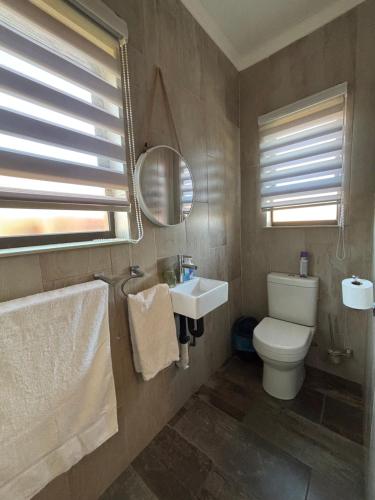 a bathroom with a toilet and a sink and a mirror at Guesthouse 116 on McLean in Welkom