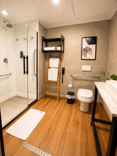 a bathroom with a shower and a toilet and a sink at ibis Catanduva in Catanduva