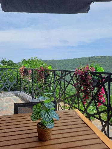 a wooden table with two potted plants on a balcony at La Marmotte in La Bastide