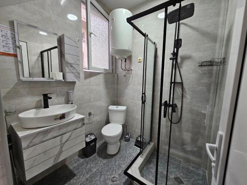 a bathroom with a shower and a toilet and a sink at Apartment IMERI in Ureki
