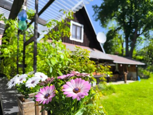 a bunch of flowers in front of a house at Privát Evi 166 in Nižná Boca