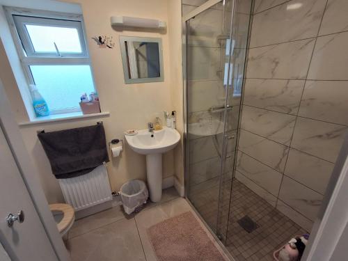 a bathroom with a sink and a glass shower at Swan Studio Haven in Lisdoonvarna