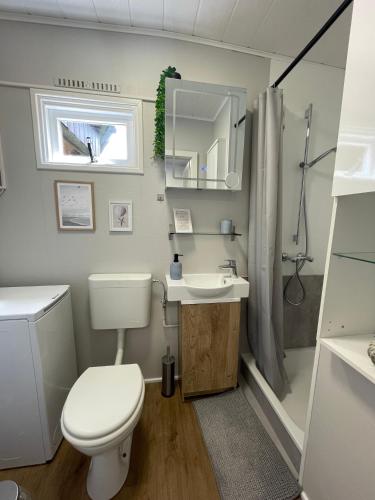 a bathroom with a toilet and a sink at Marla zum Strand in Garrel