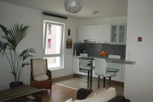 Virtuvė arba virtuvėlė apgyvendinimo įstaigoje Rosys Appartement