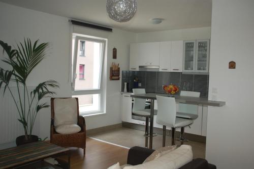 a living room with a kitchen with a table and chairs at Rosys Appartement in Strasbourg