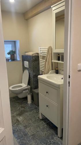 a bathroom with a toilet and a sink at Chalupa jako domov in Kolín
