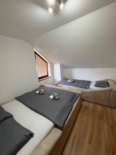 two beds in a small room with two beds at Apartments Šoić in Samobor