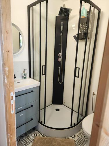 a bathroom with a shower with a sink and a toilet at Studio cosy sans vis-à-vis in Vernon