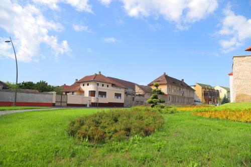 a green yard with houses in the background at Casa Tamplarului in Orăştie