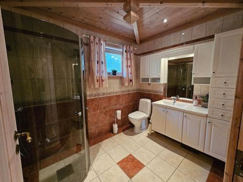 a bathroom with a toilet and a sink and a shower at Huset ved Dalsfjorden in Helle