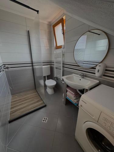 a bathroom with a toilet and a sink and a washing machine at Vlasic Odmor - Villa Krajina II in Vlasic