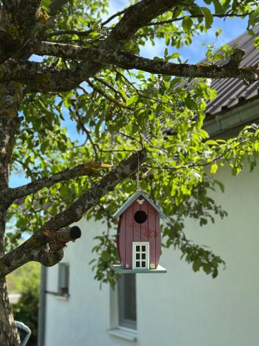 a red bird house hanging from a tree at Vikendica Vrba in Gacko