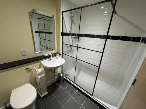 a bathroom with a shower and a toilet and a sink at Ancluaran - Moat House 10 in Fort Augustus