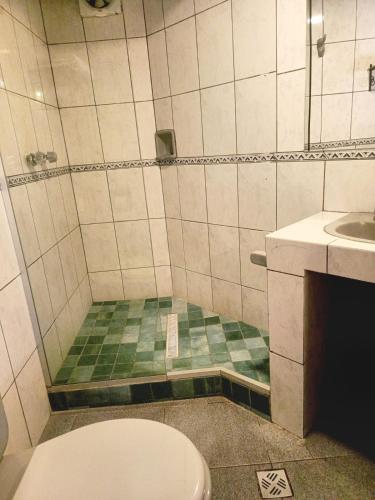 a bathroom with a shower with a toilet and a sink at B&B Recoleta in Sucre