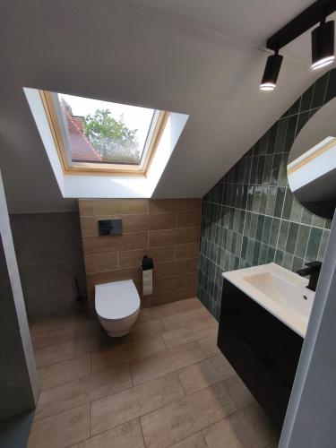 a bathroom with a toilet and a sink and a window at Willa Sunny Garden in Sint-Laureins