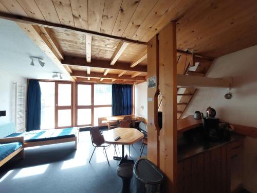 Appartement duplex, animaux OK - 6 pers., vue sur pistes - FR-1-411-603