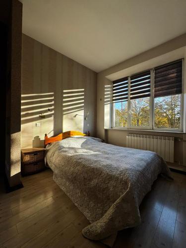 Katil atau katil-katil dalam bilik di Narva Promenade with two bedrooms