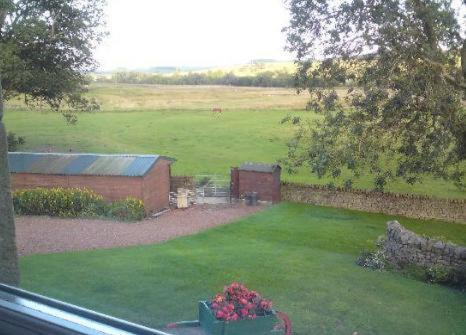 a view of a garden from a window of a yard at Yellow House in West Woodburn