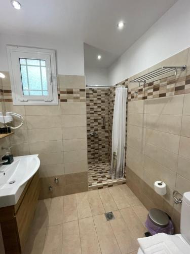 a bathroom with a shower and a sink at Starvillas Apartments and Studios in Agia Effimia