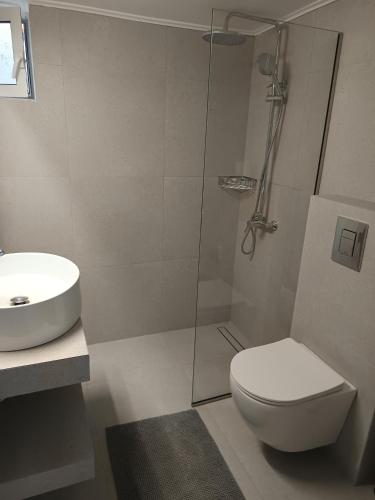a bathroom with a shower and a toilet and a sink at ANGELA APARTMENT in Koroni