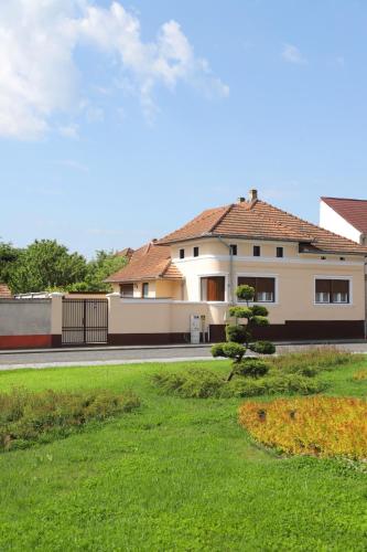 a house with a green lawn in front of it at Casa Tamplarului in Orăştie