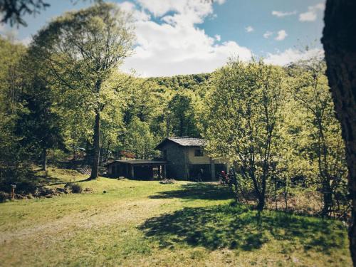 a house in the middle of a field with trees at Il glomere - campeggio di Rorà in Rorá