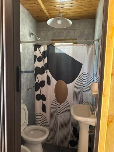 a bathroom with a shower curtain and a sink at Cabañas bola 8 in Barreal
