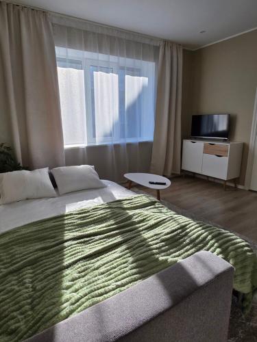 a bedroom with a large bed and a television at Ülejõe Apartment with Free Parking in Pärnu