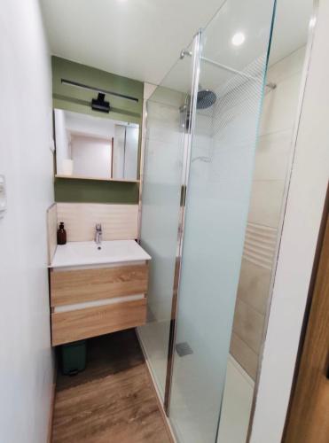 a bathroom with a sink and a shower at Le Patio in Gevrey-Chambertin
