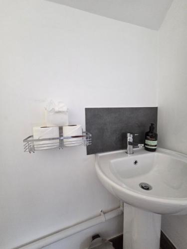 a bathroom with a sink and a white toilet at St Marys Cottages 1 in Dover