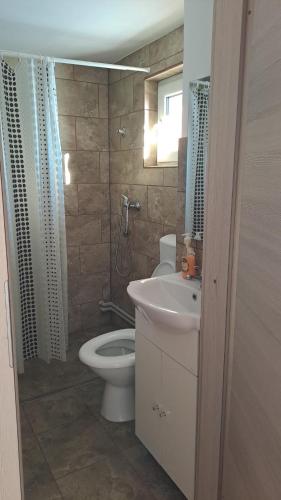 a bathroom with a toilet and a sink at Casa Cătălin-Puntea Craiului in Şirnea