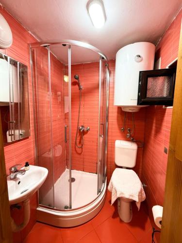 a bathroom with a shower and a toilet and a sink at Majka 2 Apartments in Kotor
